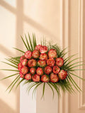 Coral Charm